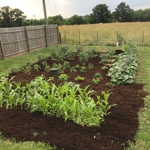 Meet your Posher, Caleb